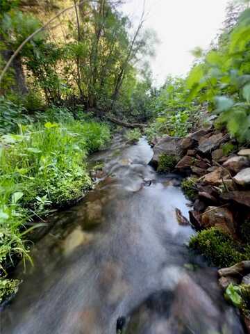 Soap Gulch Road, Melrose, MT 59743