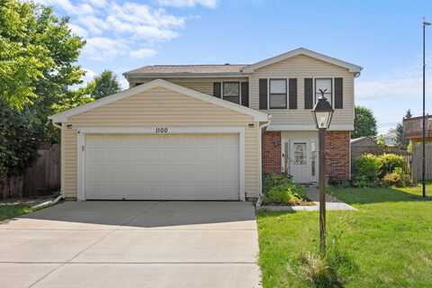 1100 Singleton Drive, Roselle, IL 60172
