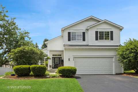 223 Saffron Lane, Bolingbrook, IL 60490
