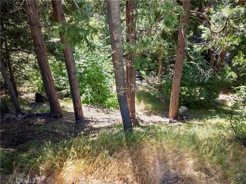 356 Ca-173, Lake Arrowhead, CA 92352