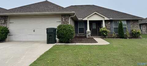 252 New Bristol Lane, Madison, AL 35756