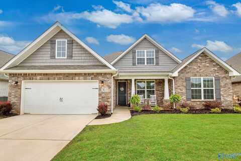 3015 Henry Road SE, Decatur, AL 35603