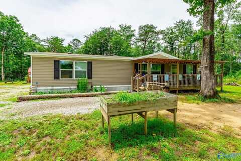 287 County Road 431, Bryant, AL 35958