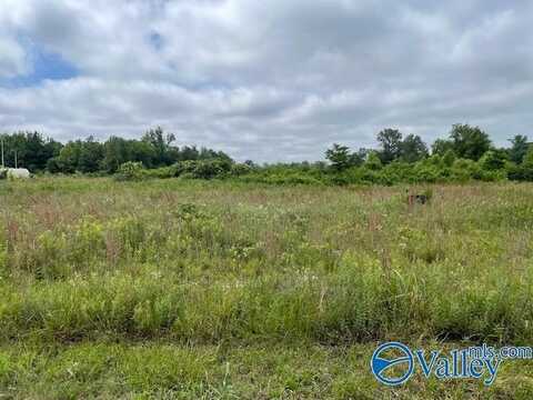 10 Old Trinity Road, Decatur, AL 35601
