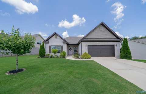 113 Edmund Circle, New Market, AL 35761
