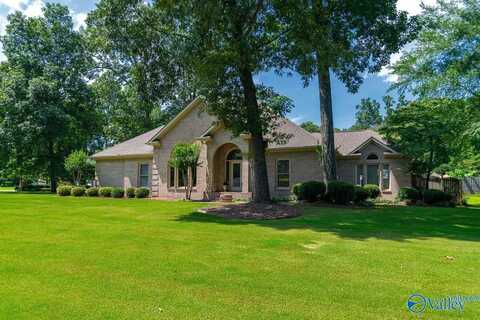 11 Golden Oak Drive, Trinity, AL 35673