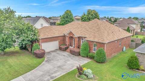 7515 Park Trace Lane SE, Owens Cross Roads, AL 35763