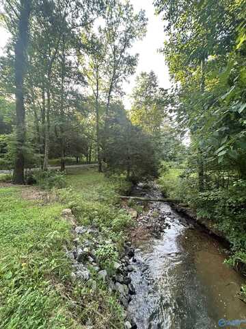3.9 Acres County Road 212, Collinsville, AL 35961