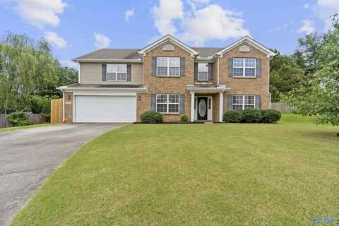 171 Ranier Street, Meridianville, AL 35759