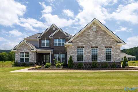 8304 Lionhead Lane SE, Owens Cross Roads, AL 35763