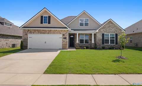 214 White Horse Way, Toney, AL 35773