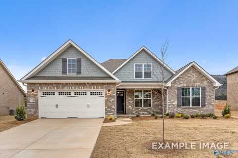 214 White Horse Way, Toney, AL 35773