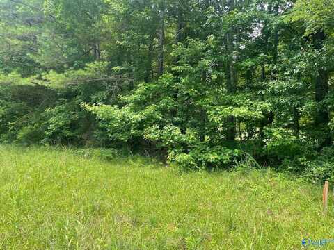 8.1ac County Road 1198, Cullman, AL 35057