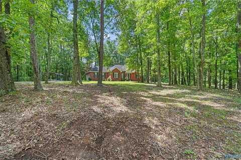 123 Cedarcrest Circle, New Market, AL 35761