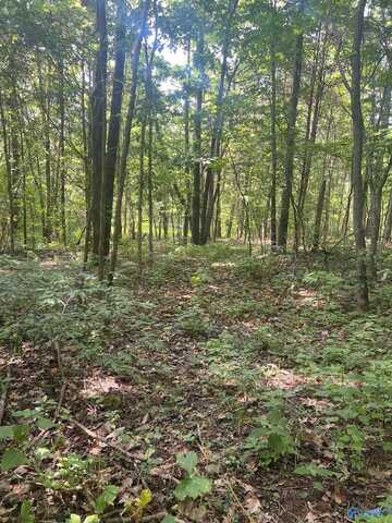 1a Burwell Road, Harvest, AL 35749