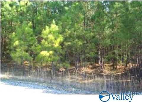 Tract 10 Maple Drive, Boaz, AL 35956