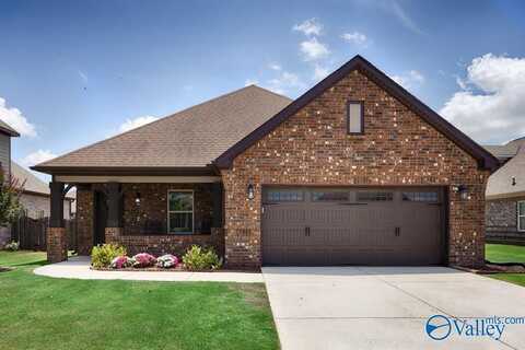 117 Goldfinch Drive, Madison, AL 35756