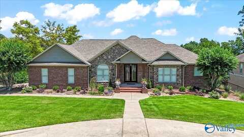 100 Spy Glass Cove, Guntersville, AL 35976