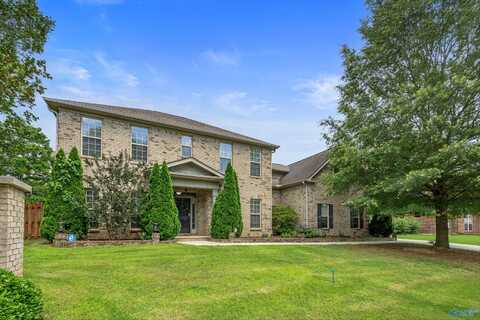 101 Morning Vista Drive, Madison, AL 35758