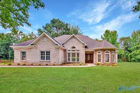 241 Mercury Lane, Madison, AL 35757