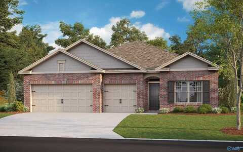 541 East River Landing Blvd SW, Madison, AL 35756