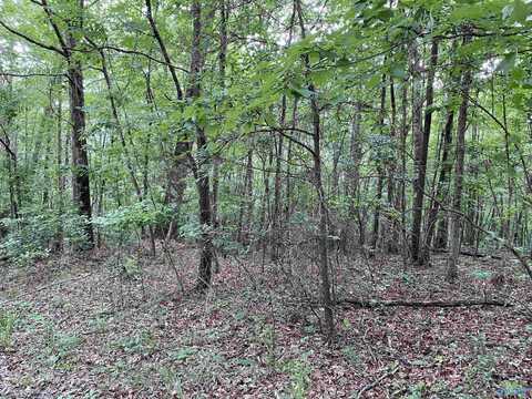 Lot 7 Bear Creek Trail, Fort Payne, AL 35967