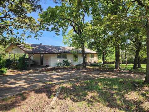 4285 HWY 101 NORTH, Gamaliel, AR 72537