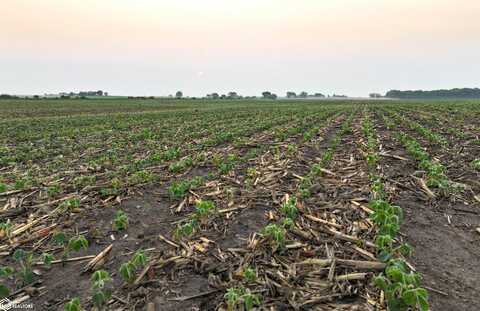 Thomas Avenue, Coggon, IA 52218