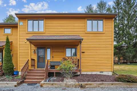 136 Deerfield Village, Davis, WV 26260