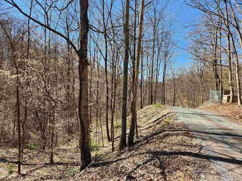 TBD Lynn Chapel Road, Grafton, WV 26354