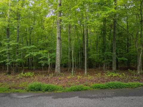 1.79 Ridge Road, Blue Ridge, GA 30513