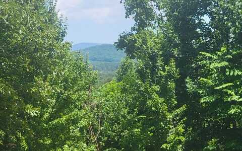 24 Mountain Knoll Lane, Warne, NC 28909