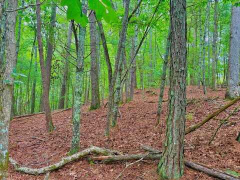 Hale Court, Ellijay, GA 30540