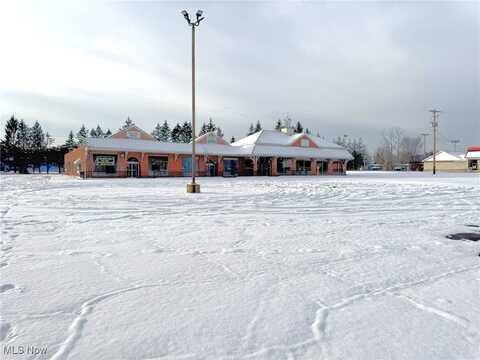 9660 E Center Street, Windham, OH 44288