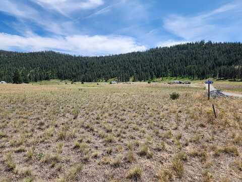 TBD POGLINA RD, TONASKET, WA 98855