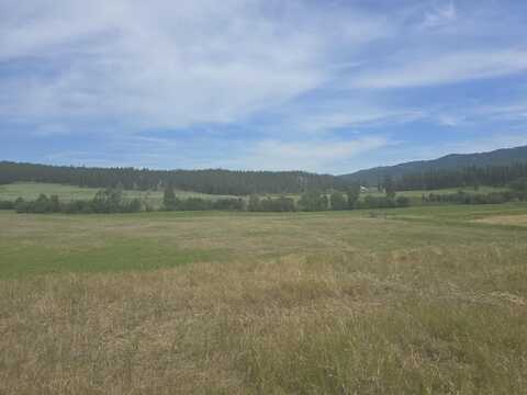 107X BEAR CREEK RD, COLVILLE, WA 99114