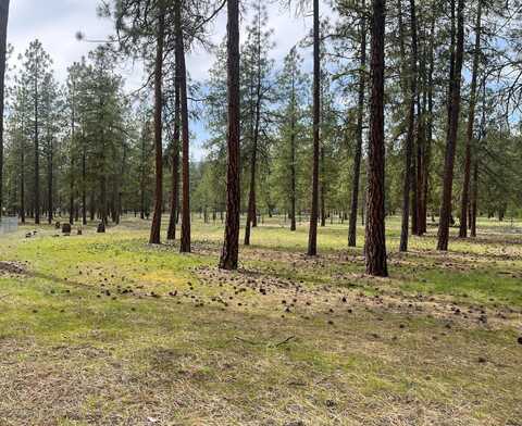 TBD LOT 1 DENTON DR, KETTLE FALLS, WA 99141