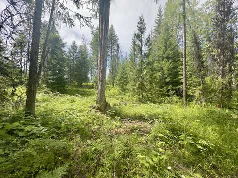 XXXX CEDAR CREEK ROAD, COLVILLE, WA 99114
