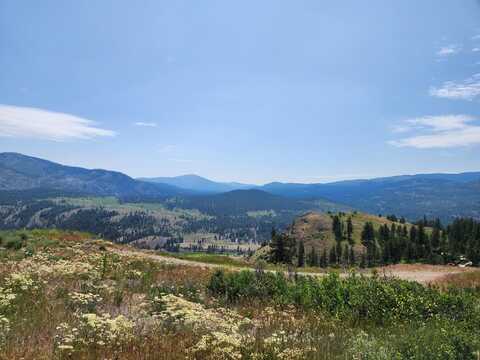0TBD ROUNDABOUT RD, TONASKET, WA 98855