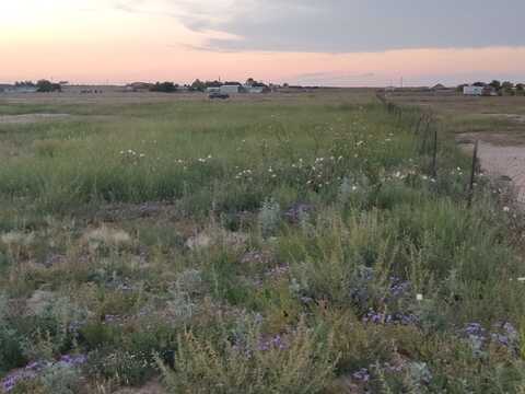 000 Dandelion Ln, Roswell, NM 88201