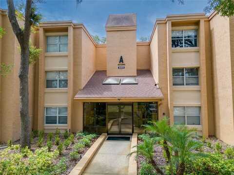 4411 Shady Terrace Lane, Tampa, FL 33613