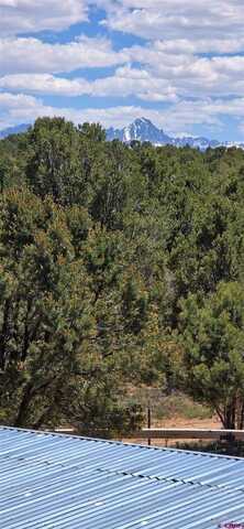 6101 County Road 1, Montrose, CO 81403