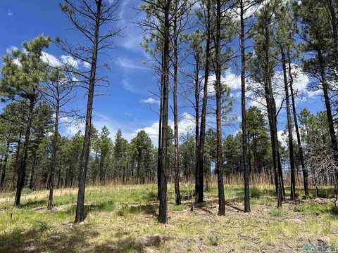 152 Calle Retiro Road, Rociada, NM 87742