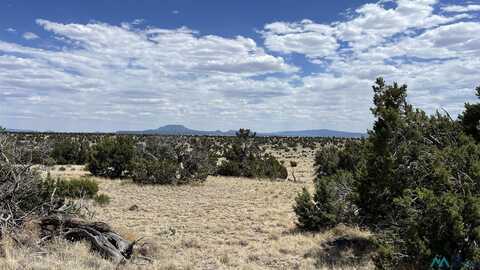 Warpath Rd Road, Quemado, NM 87829