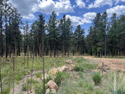22 Calle Retiro Road, Rociada, NM 87742