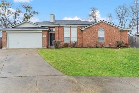 1026 Palomino Drive, Little Elm, TX 75068