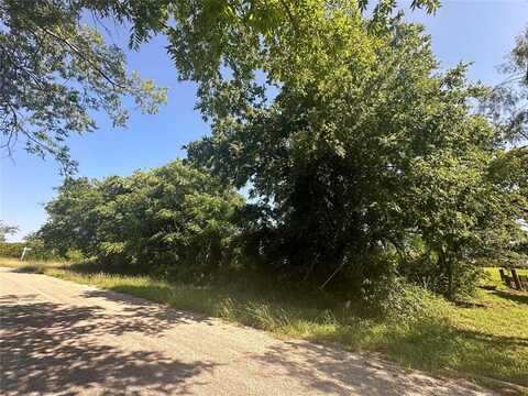 39306 Misty Ridge Drive, Whitney, TX 76692