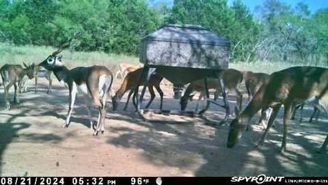 267 CR 112, Goldthwaite, TX 76844
