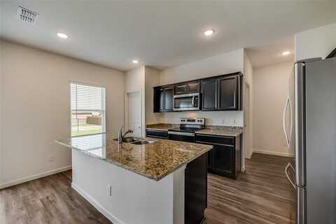 713 Peach Tree Lane, Anna, TX 75409