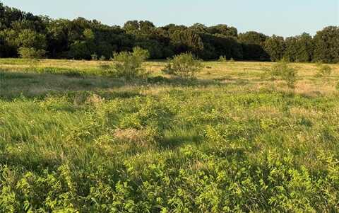 00 Fm-2210, Poolville, TX 76487